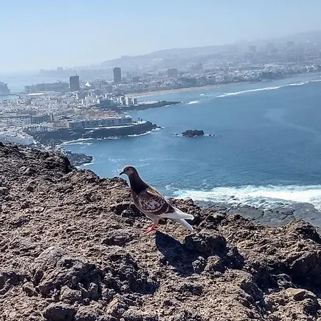 Bkd1 - Entero A 50 Metros Playa De Canteras * Las Palmas de Gran Canárias